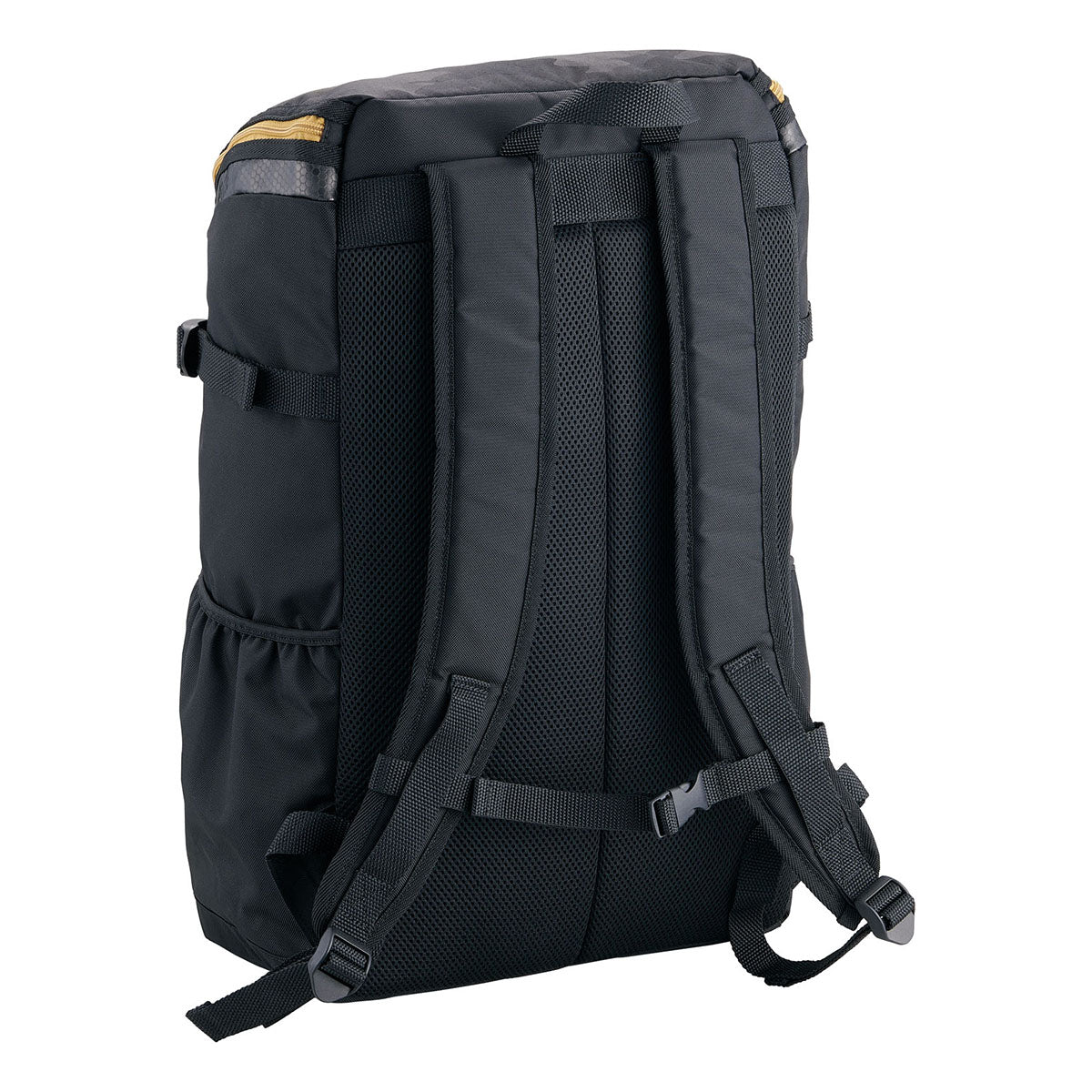 チームデイパック