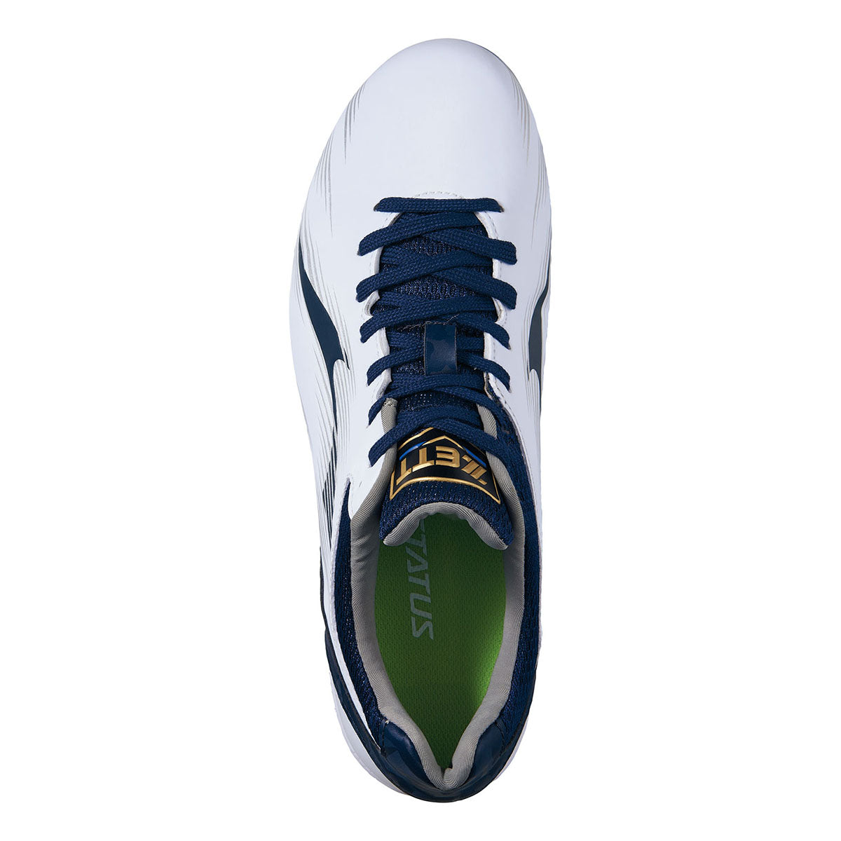 埋込みスパイク　ネオステイタスCR　